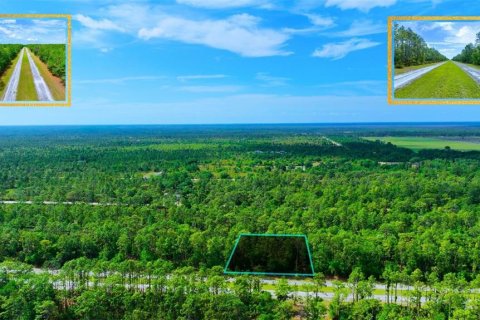 Land in Indian lake estates, Florida № 2162291 - photo 6