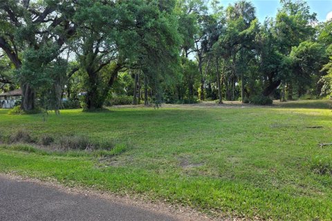 Land in Tampa, Florida № 2118930 - photo 11