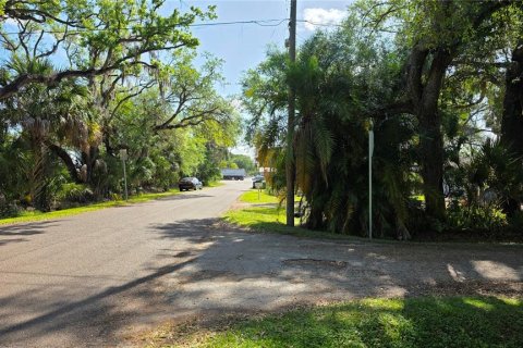 Land in Tampa, Florida № 2118930 - photo 3