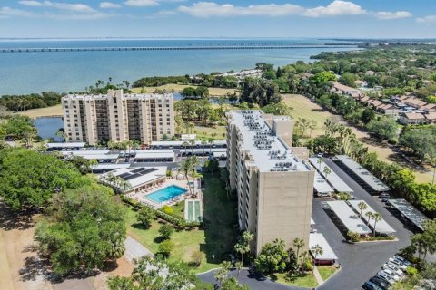 Condo in Clearwater, Florida, 1 bedroom  № 2105591 - photo 30
