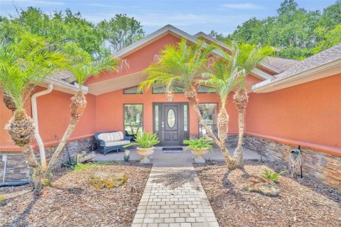 Villa ou maison à vendre à Lake Panasoffkee, Floride: 4 chambres, 235.79 m2 № 2101787 - photo 7