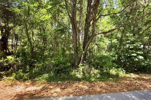 Land in Ocala, Florida № 2161456