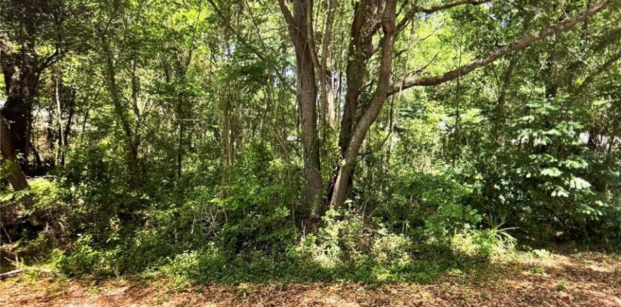 Land in Ocala, Florida № 2161456