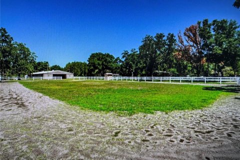 Land in Tampa, Florida № 2221743