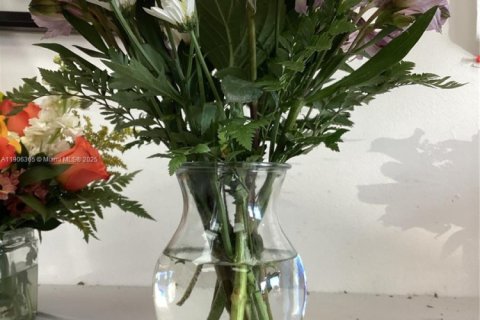 Купить коммерческую недвижимость в Майами, Флорида № 1964776 - фото 2