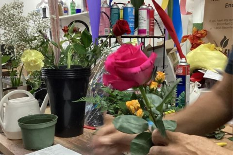 Купить коммерческую недвижимость в Майами, Флорида № 1964776 - фото 8