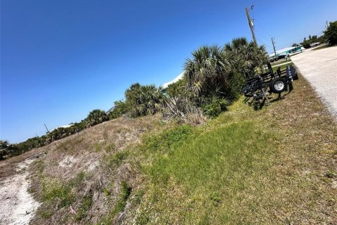 Land in Port Charlotte, Florida № 1723275 - photo 2