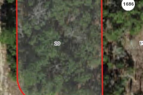 Land in Citrus Springs, Florida № 2163345