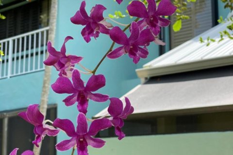 Купить виллу или дом в Хоб-Саунд, Флорида 5 спален, 489.59м2, № 1034056 - фото 1