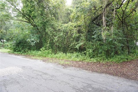Propiedad comercial en venta en Reddick, Florida, 140.65 m2 № 1885615 - foto 15