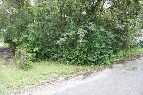 Propiedad comercial en venta en Reddick, Florida, 140.65 m2 № 1885615 - foto 16
