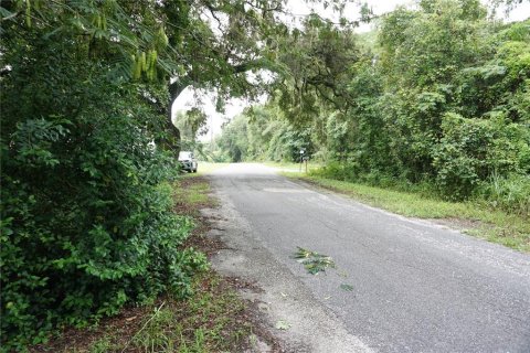 Propiedad comercial en venta en Reddick, Florida, 140.65 m2 № 1885615 - foto 18