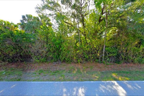 Land in Port Charlotte, Florida № 2234994