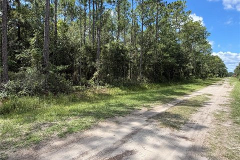 Land in Hastings, Florida № 2353393