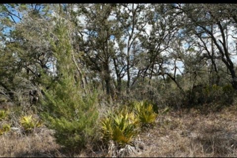Land in Brooksville, Florida № 2161825
