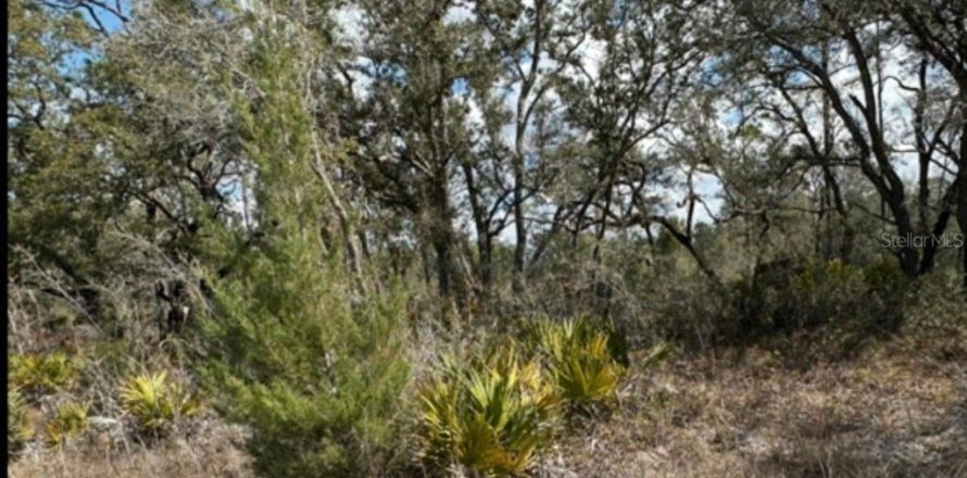 Land in Brooksville, Florida № 2161825