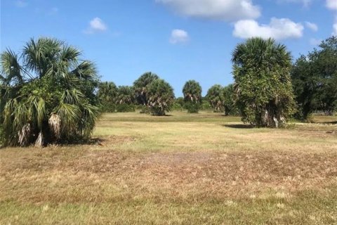 Land in Rotonda, Florida № 2163351