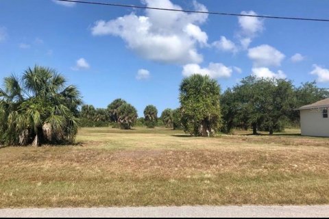 Land in Rotonda, Florida № 2163351 - photo 4
