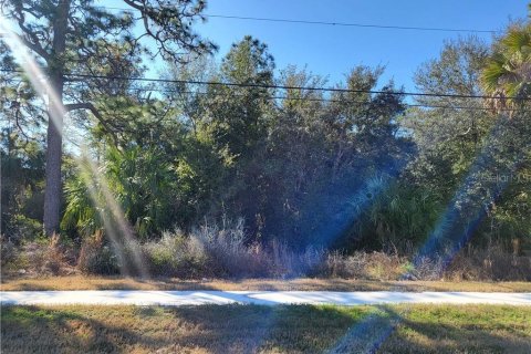 Terrain à Homosassa, Floride № 2102914