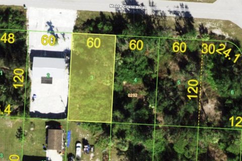 Land in Punta Gorda, Florida № 2164617