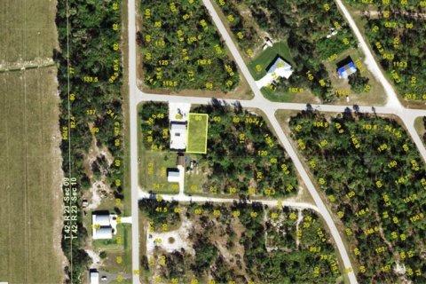 Land in Punta Gorda, Florida № 2164617 - photo 2