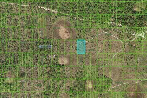 Terreno en venta en Frostproof, Florida № 2226999 - foto 3