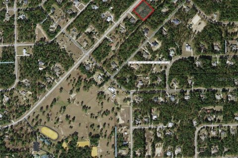 Land in Beverly Hills, Florida № 1841673 - photo 4