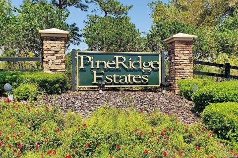 Land in Beverly Hills, Florida № 1841673 - photo 5