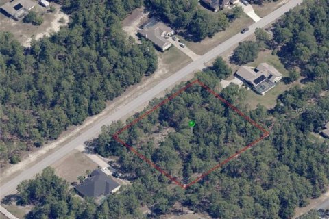 Land in Beverly Hills, Florida № 1841673 - photo 3