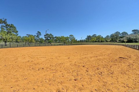 Land in Beverly Hills, Florida № 1841673 - photo 10