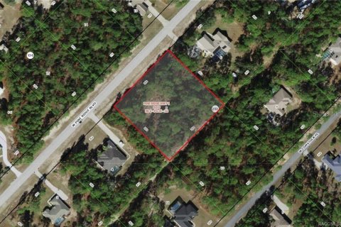Land in Beverly Hills, Florida № 1841673 - photo 1