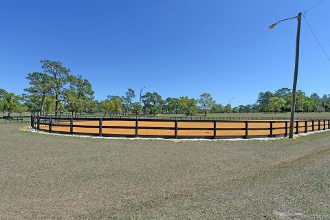 Land in Beverly Hills, Florida № 1841673 - photo 8