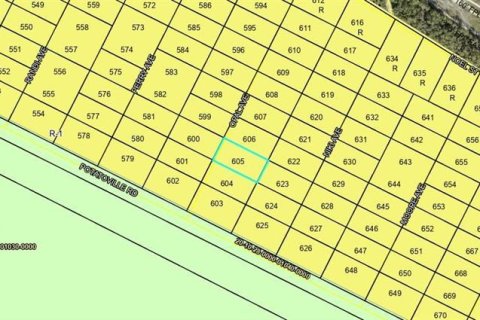 Land in Hastings, Florida № 2162396 - photo 2