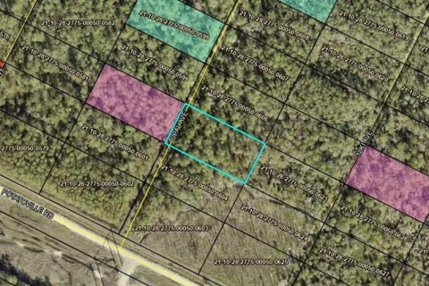 Terreno en Hastings, Florida № 2162396