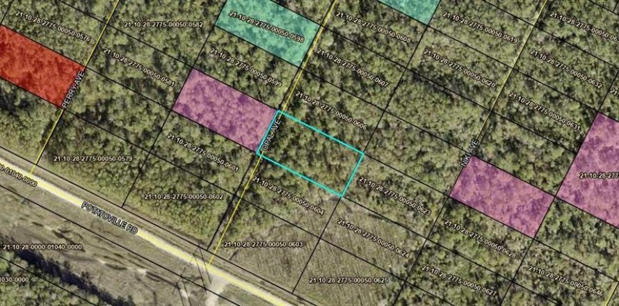 Land in Hastings, Florida № 2162396