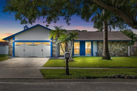 Villa ou maison à louer à Tampa, Floride: 3 chambres, 158.49 m2 № 1904529 - photo 1