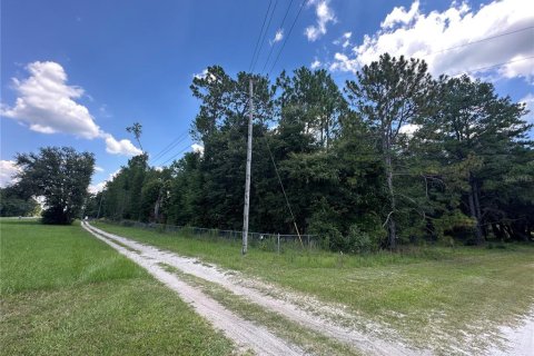 Land in High Springs, Florida № 1851112 - photo 6