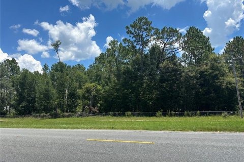 Land in High Springs, Florida № 1851112 - photo 1