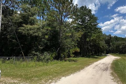 Land in High Springs, Florida № 1851112 - photo 9