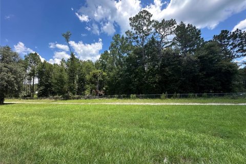 Land in High Springs, Florida № 1851112 - photo 3