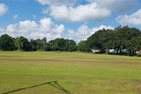 Land in Haines City, Florida № 1908858 - photo 3