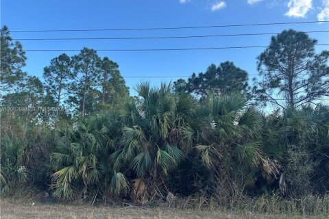 Land in Lehigh Acres, Florida № 2170385