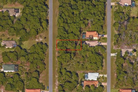 Land in Rotonda, Florida № 2163405 - photo 2