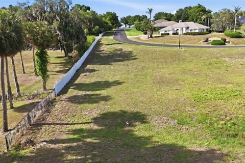 Terrain à vendre à Eustis, Floride № 2102893 - photo 4