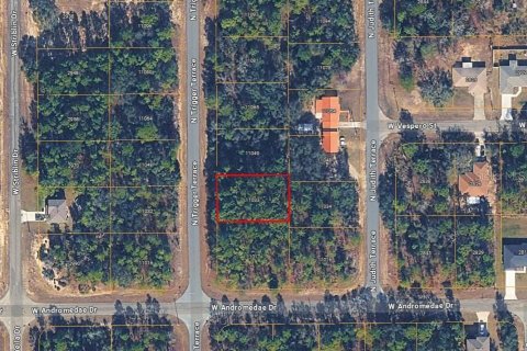 Land in Citrus Springs, Florida № 2163393 - photo 5