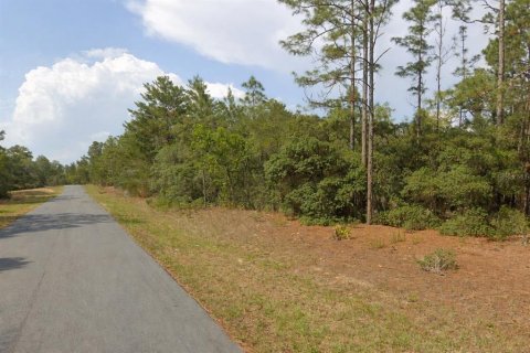 Land in Citrus Springs, Florida № 2163393