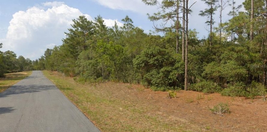 Land in Citrus Springs, Florida № 2163393