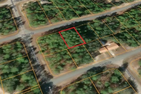 Land in Citrus Springs, Florida № 2163393 - photo 6