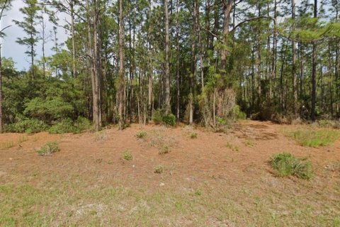 Land in Citrus Springs, Florida № 2163393 - photo 4