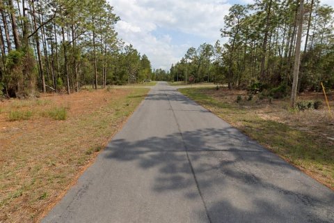 Land in Citrus Springs, Florida № 2163393 - photo 3